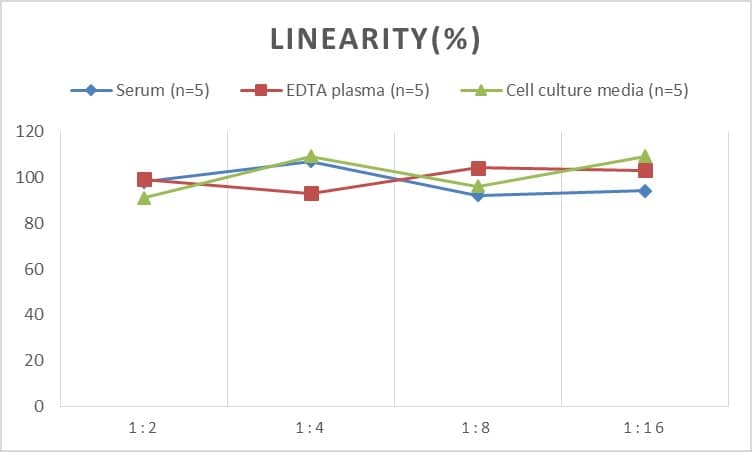 ELISA Human Insulysin/IDE ELISA Kit (Chemiluminescence)