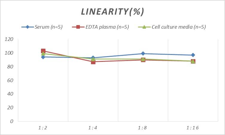 ELISA Rat Insulysin/IDE ELISA Kit (Colorimetric)