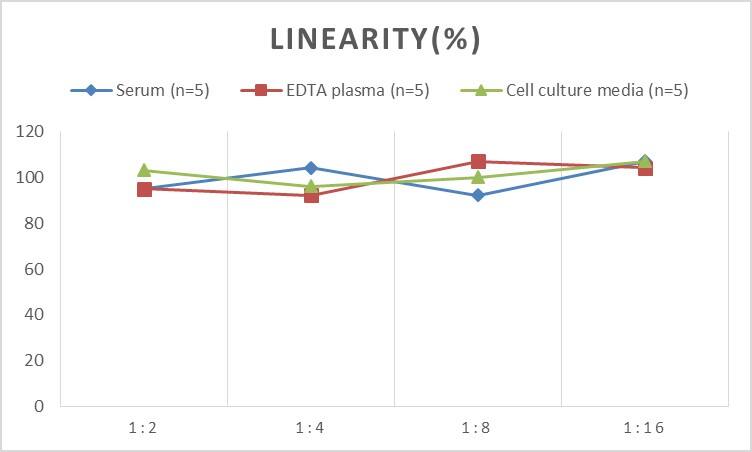 ELISA: Mouse Insulin Receptor beta ELISA Kit (Chemiluminescence) [NBP2-68042] - Samples were spiked with high concentrations of Mouse Insulin Receptor beta and diluted with Reference Standard & Sample Diluent to produce samples with values within the range of the assay.