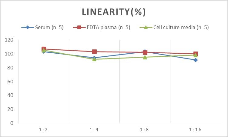 ELISA Rat Insulin Receptor beta ELISA Kit (Chemiluminescence)