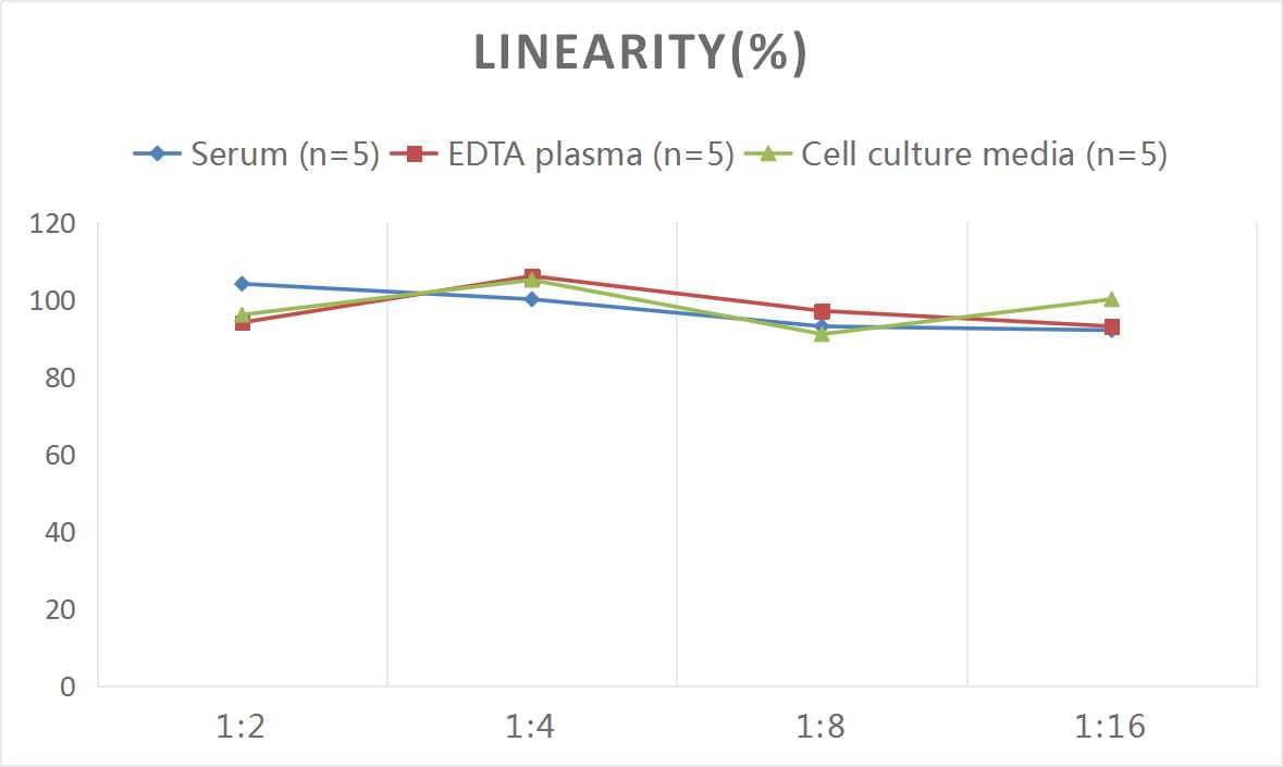 ELISA: Human LBP ELISA Kit (Chemiluminescence) [NBP2-68050] - Samples were spiked with high concentrations of Human LBP and diluted with Reference Standard & Sample Diluent to produce samples with values within the range of the assay.