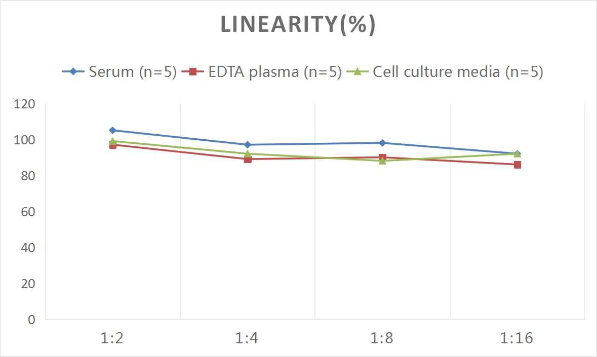 ELISA: Mouse LBP ELISA Kit (Colorimetric) [NBP2-68052] - Samples were spiked with high concentrations of Mouse LBP and diluted with Reference Standard & Sample Diluent to produce samples with values within the range of the assay.