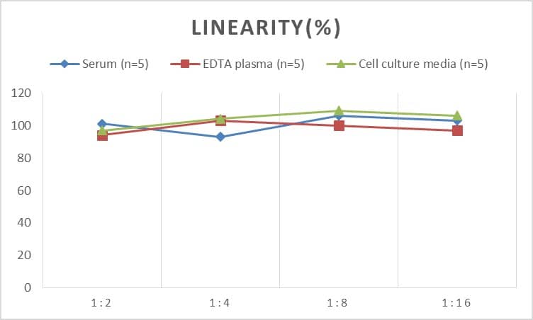 ELISA: Mouse XCL1/Lymphotactin ELISA Kit (Chemiluminescence) [NBP2-68055] - Samples were spiked with high concentrations of Mouse XCL1/Lymphotactin and diluted with Reference Standard & Sample Diluent to produce samples with values within the range of the assay.