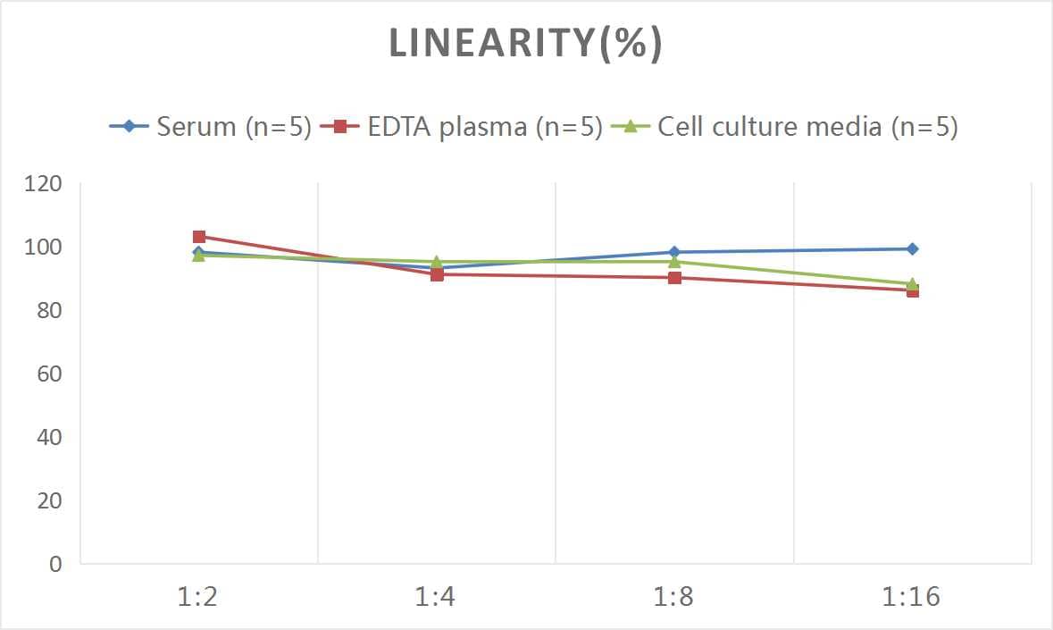 ELISA: Mouse XCL1/Lymphotactin ELISA Kit (Colorimetric) [NBP2-68056] - Samples were spiked with high concentrations of Mouse XCL1/Lymphotactin and diluted with Reference Standard & Sample Diluent to produce samples with values within the range of the assay.