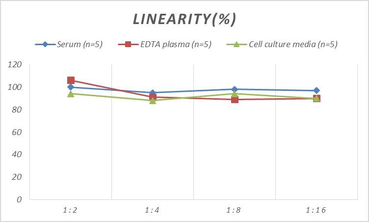 ELISA Human CCL28 ELISA Kit (Colorimetric)