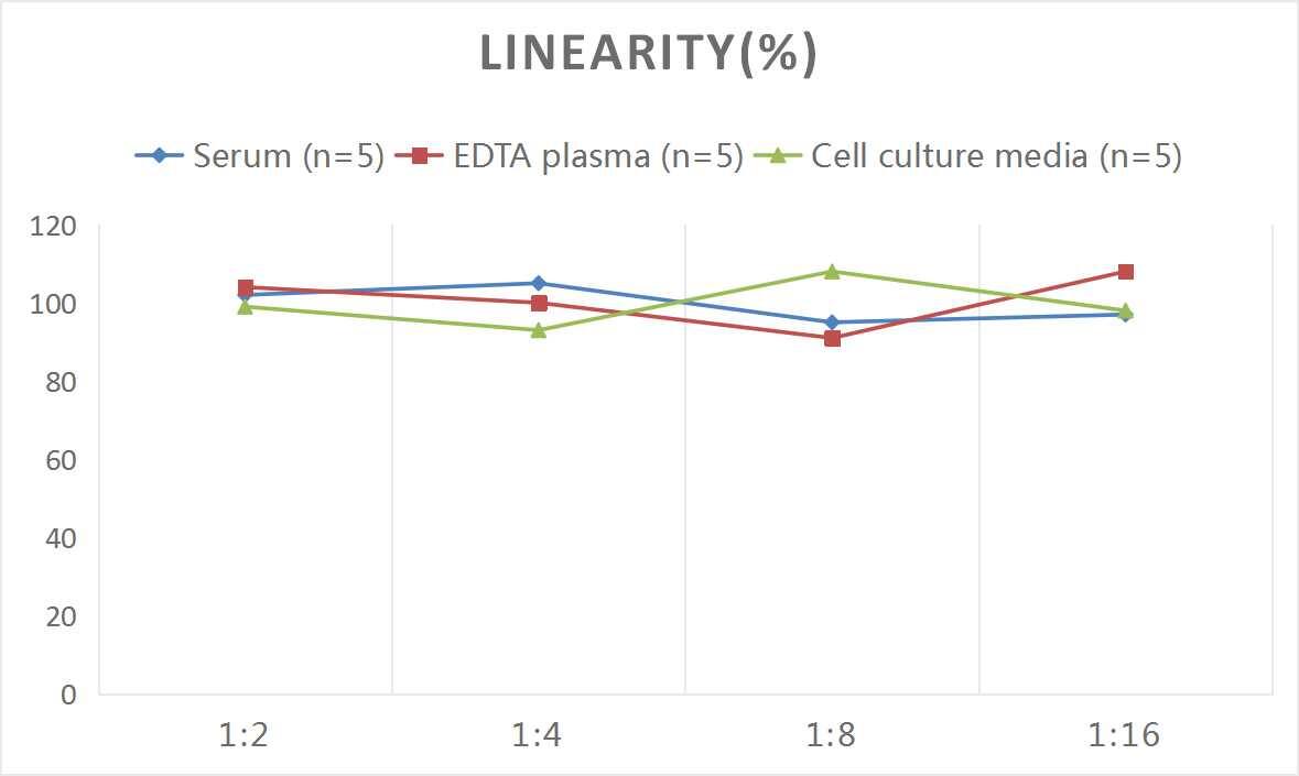 ELISA: Human Neuregulin-1/NRG1 ELISA Kit (Chemiluminescence) [NBP2-68066] - Samples were spiked with high concentrations of Human Neuregulin-1/NRG1 and diluted with Reference Standard & Sample Diluent to produce samples with values within the range of the assay.