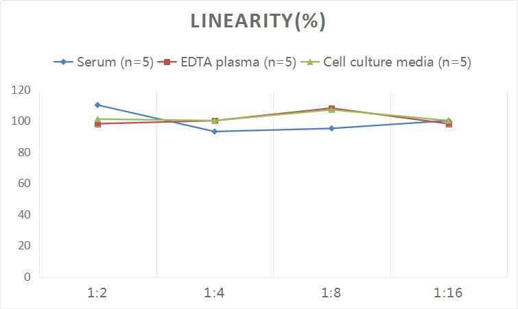 ELISA: Rat Neuregulin-1/NRG1 ELISA Kit (Chemiluminescence) [NBP2-68068] - Samples were spiked with high concentrations of Rat Neuregulin-1/NRG1 and diluted with Reference Standard & Sample Diluent to produce samples with values within the range of the assay.