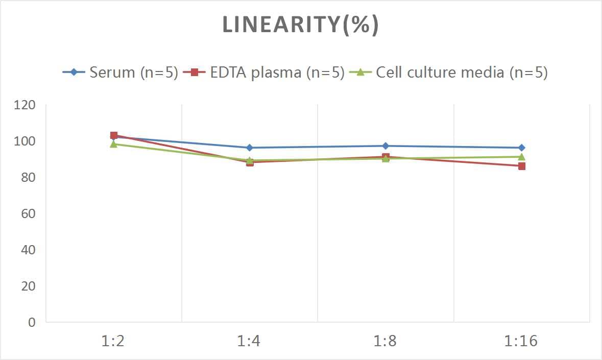 ELISA: Rat Neuregulin-1/NRG1 ELISA Kit (Colorimetric) [NBP2-68071] - Samples were spiked with high concentrations of Rat Neuregulin-1/NRG1 and diluted with Reference Standard & Sample Diluent to produce samples with values within the range of the assay.