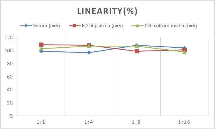 ELISA: Human OSMR beta ELISA Kit (Chemiluminescence) [NBP2-68082] - Samples were spiked with high concentrations of Human OSMR beta and diluted with Reference Standard & Sample Diluent to produce samples with values within the range of the assay.