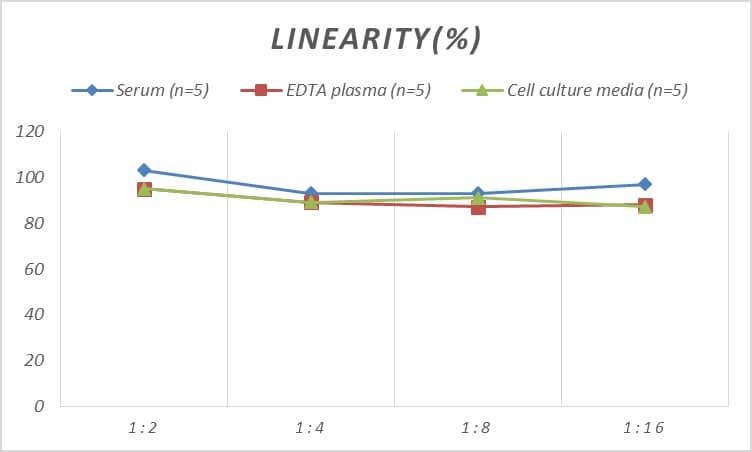 ELISA: Rat OSMR beta ELISA Kit (Colorimetric) [NBP2-68084] - Samples were spiked with high concentrations of Rat OSMR beta and diluted with Reference Standard & Sample Diluent to produce samples with values within the range of the assay.