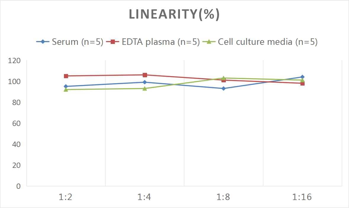 ELISA: Human P-Cadherin ELISA Kit (Chemiluminescence) [NBP2-68085] - Samples were spiked with high concentrations of Human P-Cadherin and diluted with Reference Standard & Sample Diluent to produce samples with values within the range of the assay.