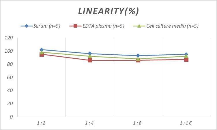 ELISA Rat S100A11 ELISA Kit (Colorimetric)