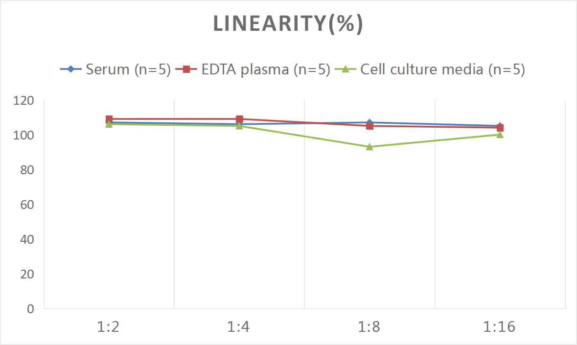 ELISA: Human SAA ELISA Kit (Chemiluminescence) [NBP2-68118] - Samples were spiked with high concentrations of Human SAA and diluted with Reference Standard & Sample Diluent to produce samples with values within the range of the assay.