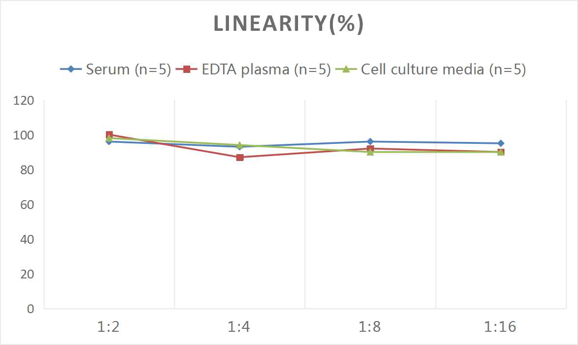ELISA: Human SAA ELISA Kit (Colorimetric) [NBP2-68119] - Samples were spiked with high concentrations of Human SAA and diluted with Reference Standard & Sample Diluent to produce samples with values within the range of the assay.