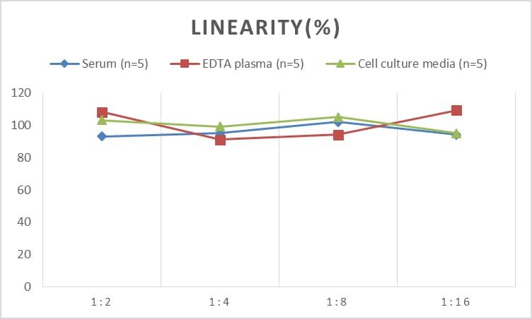 ELISA: Rat Sonic Hedgehog/Shh ELISA Kit (Chemiluminescence) [NBP2-68122] - Samples were spiked with high concentrations of Rat Sonic Hedgehog/Shh and diluted with Reference Standard & Sample Diluent to produce samples with values within the range of the assay.