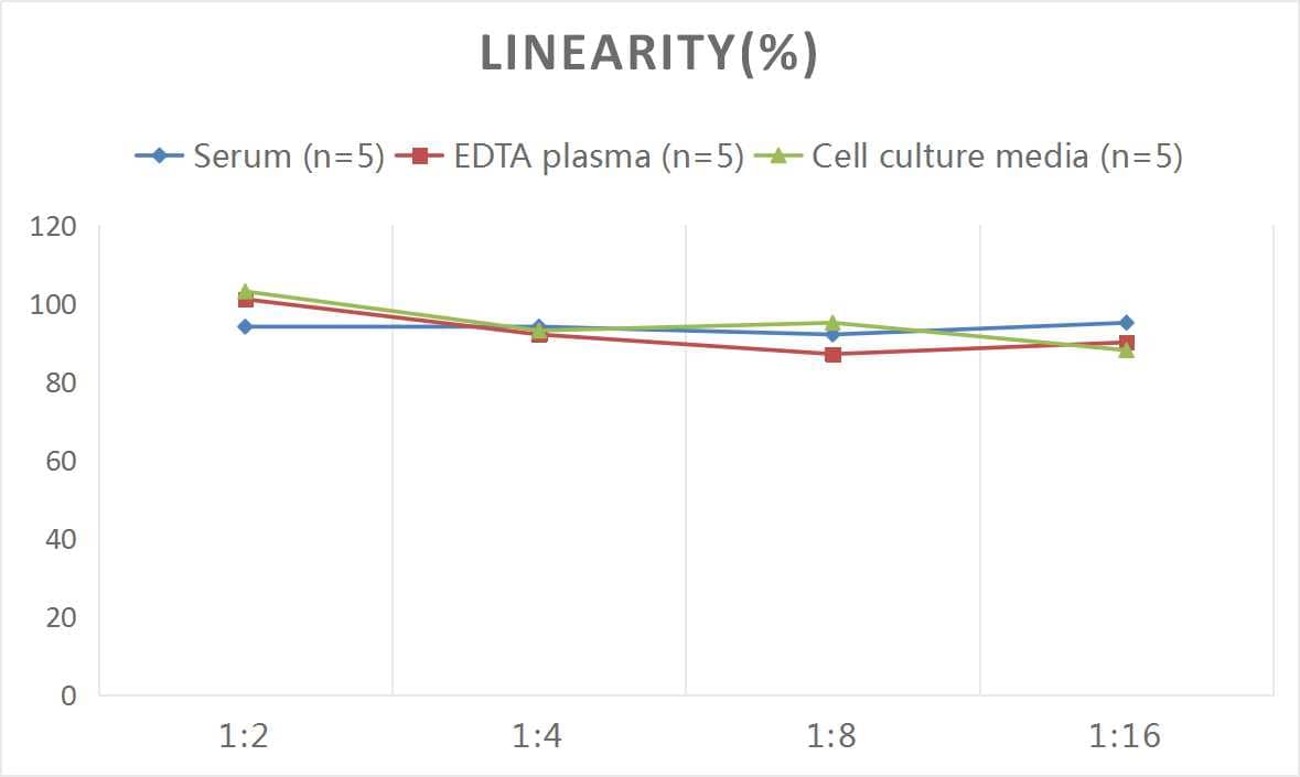 ELISA: Rat Sonic Hedgehog/Shh ELISA Kit (Colorimetric) [NBP2-68123] - Samples were spiked with high concentrations of Rat Sonic Hedgehog/Shh and diluted with Reference Standard & Sample Diluent to produce samples with values within the range of the assay.