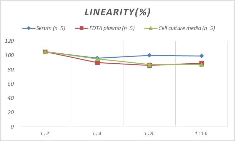 ELISA Human SSB ELISA Kit (Colorimetric)