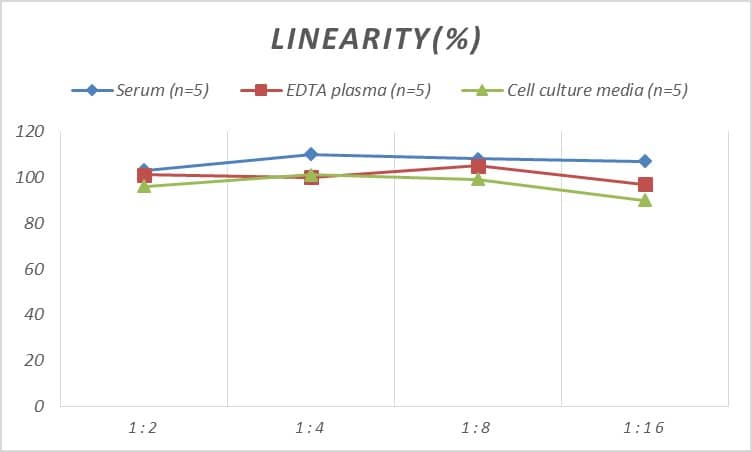 ELISA: Human Von Willebrand Factor ELISA Kit (Chemiluminescence) [NBP2-68170] - Samples were spiked with high concentrations of Human Von Willebrand Factor and diluted with Reference Standard & Sample Diluent to produce samples with values within the range of the assay.