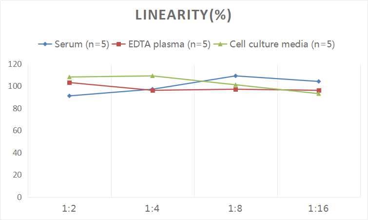 ELISA: Rat Von Willebrand Factor ELISA Kit (Chemiluminescence) [NBP2-68172] - Samples were spiked with high concentrations of Rat Von Willebrand Factor and diluted with Reference Standard & Sample Diluent to produce samples with values within the range of the assay.