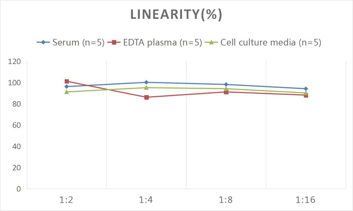 ELISA: Human Von Willebrand Factor ELISA Kit (Colorimetric) [NBP2-68173] - Samples were spiked with high concentrations of Human Von Willebrand Factor and diluted with Reference Standard & Sample Diluent to produce samples with values within the range of the assay.