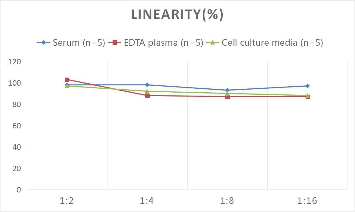 ELISA: Mouse Von Willebrand Factor ELISA Kit (Colorimetric) [NBP2-68175] - Samples were spiked with high concentrations of Mouse Von Willebrand Factor and diluted with Reference Standard & Sample Diluent to produce samples with values within the range of the assay.