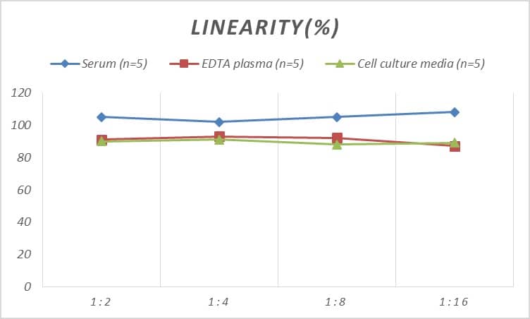 ELISA: Monkey Von Willebrand Factor ELISA Kit (Colorimetric) [NBP2-68176] - Samples were spiked with high concentrations of Monkey Von Willebrand Factor and diluted with Reference Standard & Sample Diluent to produce samples with values within the range of the assay.