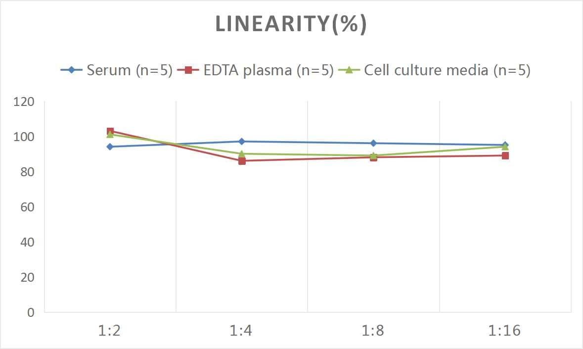 ELISA: Rat Von Willebrand Factor ELISA Kit (Colorimetric) [NBP2-68178] - Samples were spiked with high concentrations of Rat Von Willebrand Factor and diluted with Reference Standard & Sample Diluent to produce samples with values within the range of the assay.