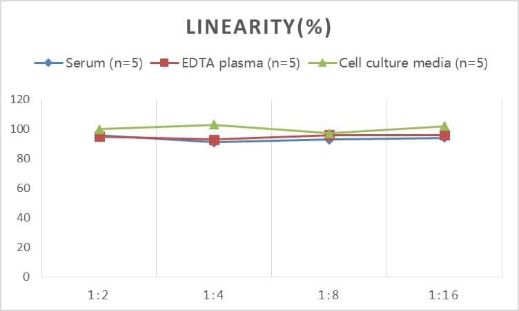 ELISA: Rabbit Von Willebrand Factor ELISA Kit (Colorimetric) [NBP2-68179] - Samples were spiked with high concentrations of Rabbit Von Willebrand Factor and diluted with Reference Standard & Sample Diluent to produce samples with values within the range of the assay.