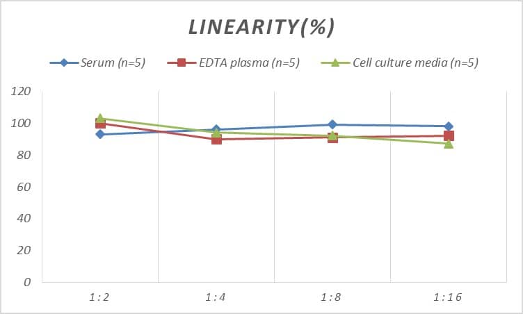 ELISA Human AKAP1 ELISA Kit (Colorimetric)