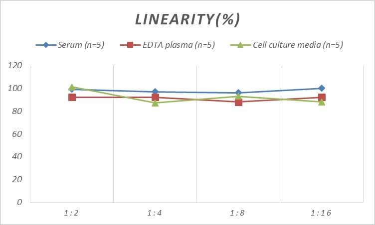 ELISA: Human AKAP12 ELISA Kit (Colorimetric) [NBP2-68183] - Samples were spiked with high concentrations of Human AKAP12 and diluted with Reference Standard & Sample Diluent to produce samples with values within the range of the assay.