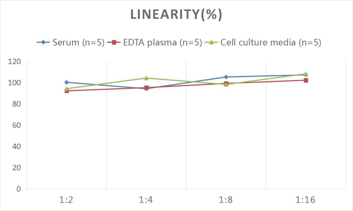 ELISA: Human ALCAM/CD166 ELISA Kit (Chemiluminescence) [NBP2-68185] - Samples were spiked with high concentrations of Human ALCAM/CD166 and diluted with Reference Standard & Sample Diluent to produce samples with values within the range of the assay.