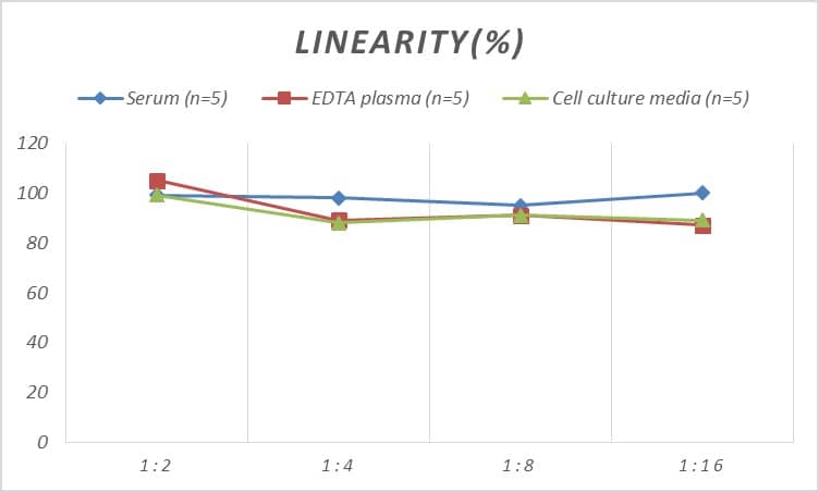 ELISA: Rat ALCAM/CD166 ELISA Kit (Colorimetric) [NBP2-68187] - Samples were spiked with high concentrations of Rat ALCAM/CD166 and diluted with Reference Standard & Sample Diluent to produce samples with values within the range of the assay.