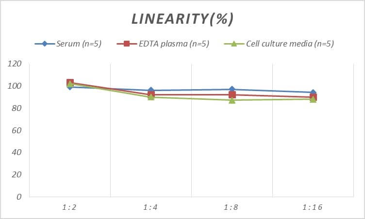 ELISA: Human alpha-Methylacyl-CoA Racemase/AMACR ELISA Kit (Colorimetric) [NBP2-68199] - Samples were spiked with high concentrations of Human alpha-Methylacyl-CoA Racemase/AMACR and diluted with Reference Standard & Sample Diluent to produce samples with values within the range of the assay.