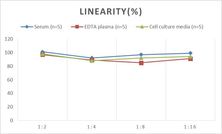 ELISA: Rat alpha-Methylacyl-CoA Racemase/AMACR ELISA Kit (Colorimetric) [NBP2-68200] - Samples were spiked with high concentrations of Rat alpha-Methylacyl-CoA Racemase/AMACR and diluted with Reference Standard & Sample Diluent to produce samples with values within the range of the assay.