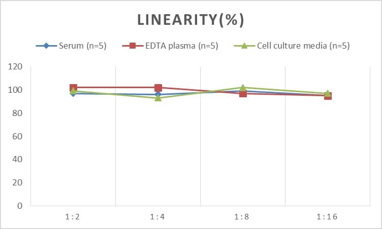 ELISA: Human Salivary Amylase Alpha ELISA Kit (Chemiluminescence) [NBP2-68203] - Samples were spiked with high concentrations of Human Salivary Amylase Alpha and diluted with Reference Standard & Sample Diluent to produce samples with values within the range of the assay.