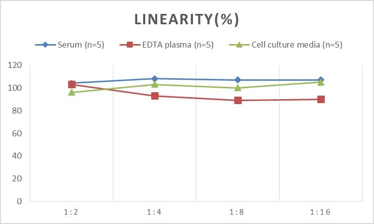 ELISA: Rat Angiogenin ELISA Kit (Colorimetric) [NBP2-68210] - Samples were spiked with high concentrations of Rat Angiogenin and diluted with Reference Standard & Sample Diluent to produce samples with values within the range of the assay.