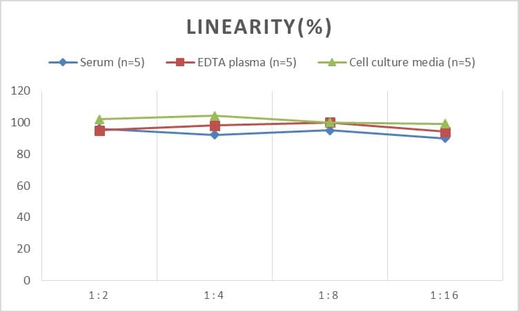 ELISA: Human Angiotensin III ELISA Kit (Colorimetric) [NBP2-68211] - Samples were spiked with high concentrations of Human Angiotensin III and diluted with Reference Standard & Sample Diluent to produce samples with values within the range of the assay.