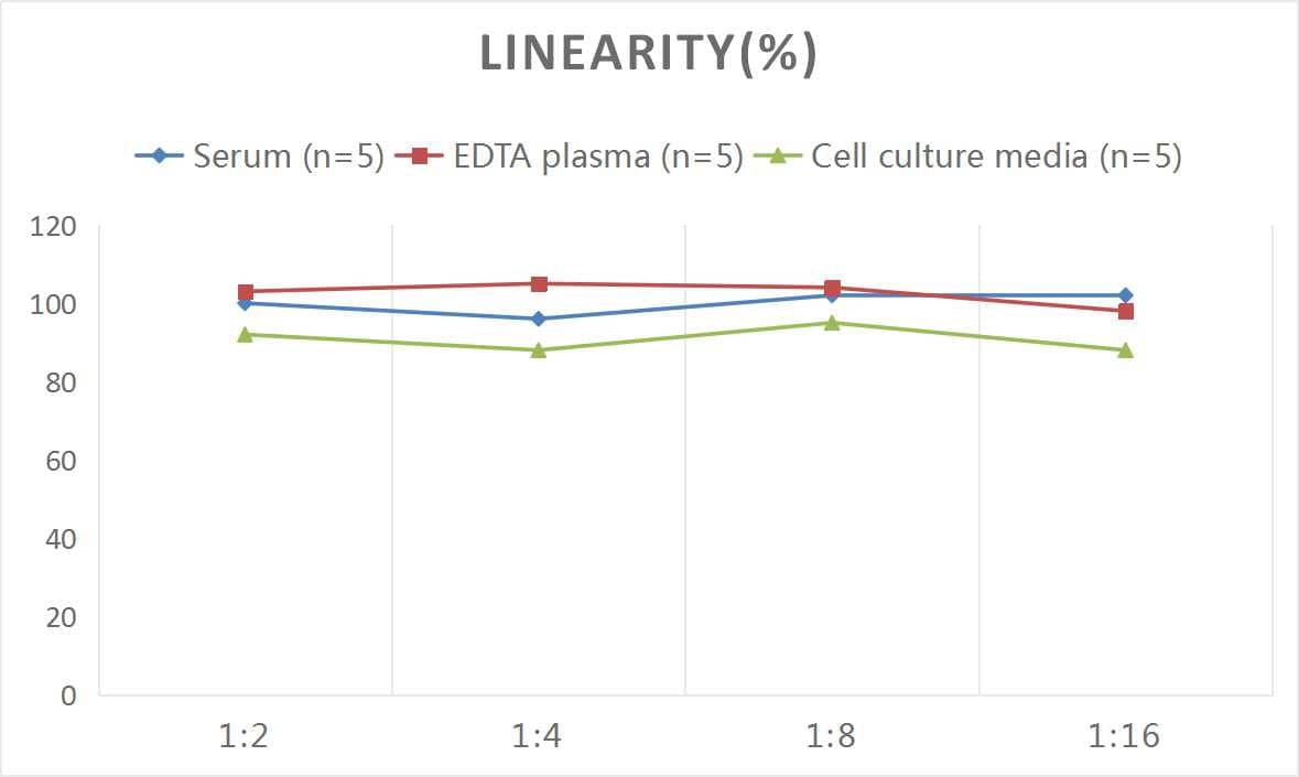 ELISA: Monkey Angiopoietin-like Protein 3/ANGPTL3 ELISA Kit (Colorimetric) [NBP2-68214] - Samples were spiked with high concentrations of Monkey Angiopoietin-like Protein 3/ANGPTL3 and diluted with Reference Standard & Sample Diluent to produce samples with values within the range of the assay.
