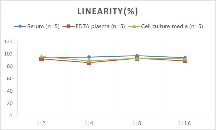 ELISA: Rat Angiopoietin-like Protein 3/ANGPTL3 ELISA Kit (Colorimetric) [NBP2-68215] - Samples were spiked with high concentrations of Rat Angiopoietin-like Protein 3/ANGPTL3 and diluted with Reference Standard & Sample Diluent to produce samples with values within the range of the assay.