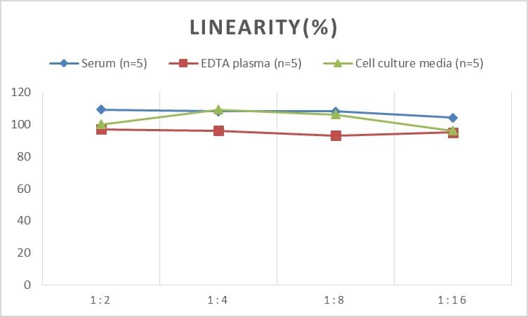 ELISA: Human Angiopoietin-like Protein 6/ANGPTL6 ELISA Kit (Chemiluminescence) [NBP2-68216] - Samples were spiked with high concentrations of Human Angiopoietin-like Protein 6/ANGPTL6 and diluted with Reference Standard & Sample Diluent to produce samples with values within the range of the assay.