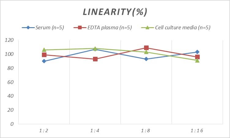 ELISA: Mouse Annexin V ELISA Kit (Chemiluminescence) [NBP2-68227] - Samples were spiked with high concentrations of Mouse Annexin V and diluted with Reference Standard & Sample Diluent to produce samples with values within the range of the assay.