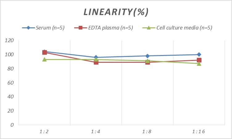 ELISA: Rat Annexin V ELISA Kit (Colorimetric) [NBP2-68230] - Samples were spiked with high concentrations of Rat Annexin V and diluted with Reference Standard & Sample Diluent to produce samples with values within the range of the assay.