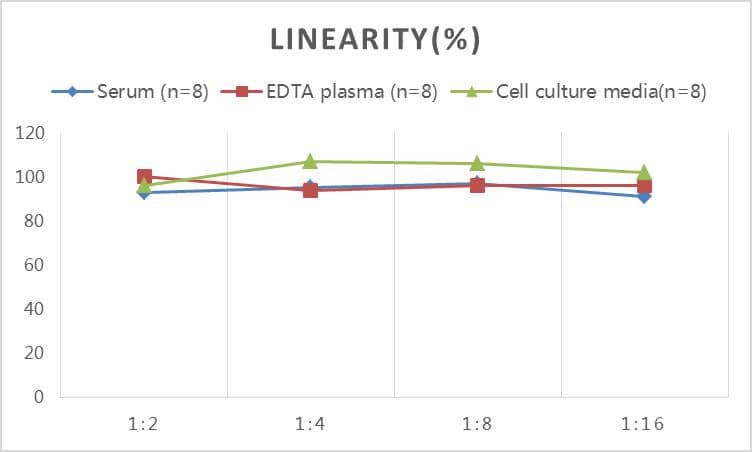 ELISA Rat Apelin ELISA Kit (Colorimetric)