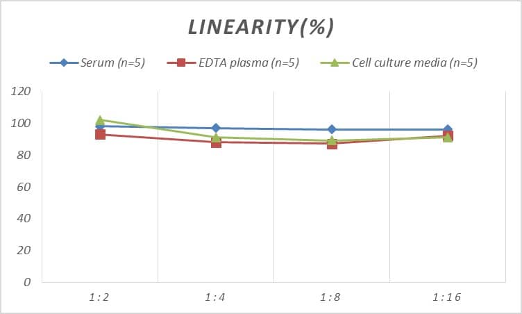 ELISA: Rat APJ/Apelin receptor ELISA Kit (Colorimetric) [NBP2-68237] - Samples were spiked with high concentrations of Rat APJ/Apelin receptor and diluted with Reference Standard & Sample Diluent to produce samples with values within the range of the assay.