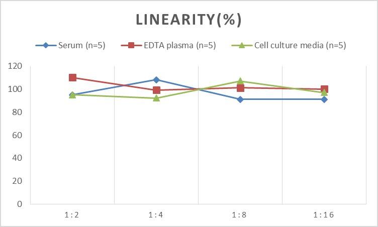 ELISA: Human ENPP-7/Alk-SMase ELISA Kit (Chemiluminescence) [NBP2-68255] - Samples were spiked with high concentrations of Human ENPP-7/Alk-SMase and diluted with Reference Standard & Sample Diluent to produce samples with values within the range of the assay.