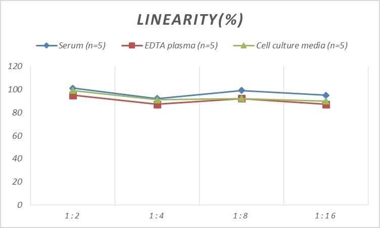 ELISA: Human Tie-1 ELISA Kit (Colorimetric) [NBP2-68260] - Samples were spiked with high concentrations of Human Tie-1 and diluted with Reference Standard & Sample Diluent to produce samples with values within the range of the assay.