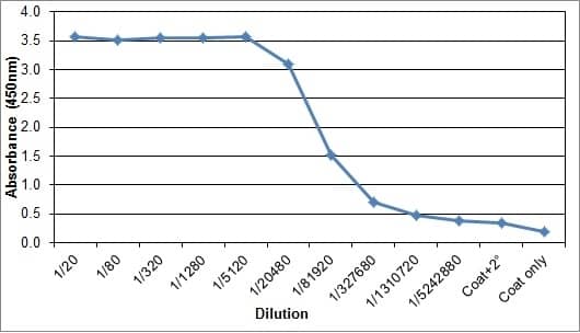ELISA: Mouse anti-Bovine IgG (H+L) Secondary Antibody (IL-A2) [NBP2-68413] - Bovine IgG detected using Mouse anti Bovine IgG and Rabbit F(ab')2 anti Mouse IgG:HRP as the detection reagents.
