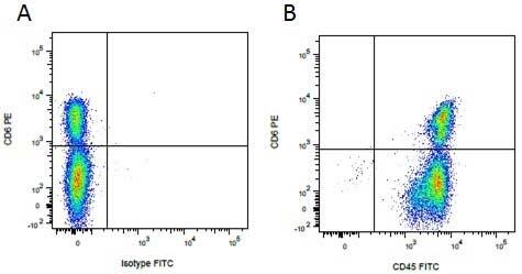 Flow Cytometry: Goat anti-Mouse IgG2a Secondary Antibody [FITC] -  (Pre-adsorbed) [NBP2-68509] - Figure A. Purified mouse anti porcine CD6 detected with goat anti mouse IgG2a PE and mouse IgG2b FITC isotype control. Figure B. Purified mouse anti porcine CD6 detected with goat anti mouse IgG2a PE and mouse anti porcine CD45 FITC. All experiments performed on red cell lysed porcine blood gated on mononuclear cells. 