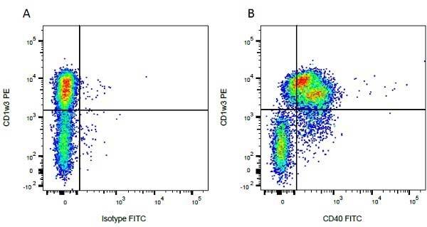 Flow Cytometry: Goat anti-Mouse IgG2b Secondary Antibody [Alkaline Phosphatase] -  (Pre-adsorbed) [NBP2-68513] - Figure A. Purified mouse anti bovine CD1w3 detected with goat anti mouse IgG2b RPE and FITC conjugated mouse IgG1 isotype control. Figure B. Purified mouse anti bovine CD1w3 detected with goat anti mouse IgG2b RPE and FITC conjugated mouse anti bovine CD40. All experiments performed on red cell lysed bovine blood gated on mononuclear cells. 