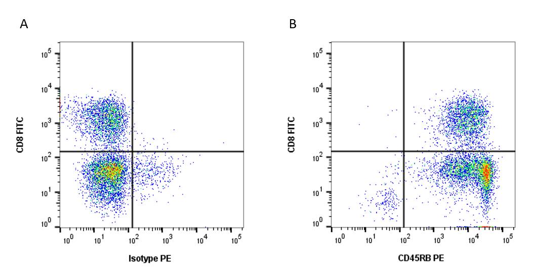 Flow Cytometry: Goat anti-Mouse IgG (H+L) Secondary Antibody [PE] -  (Pre-adsorbed) [NBP2-68560] - Figure A. FITC conjugated Rat anti Human CD8 and isotype control detected with Goat anti Mouse IgG: RP. Figure B. FITC conjugated Rat anti Human CD8 nd Mouse anti Human CD45RB detected with Goat anti Mouse IgG RPE). All experiments performed on red cell lysed human blood gated on single lymphocytes in the presence of 10% human serum. Data acquired on the ZE5 Cell Analyzer. 